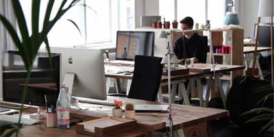 Business or Organisation